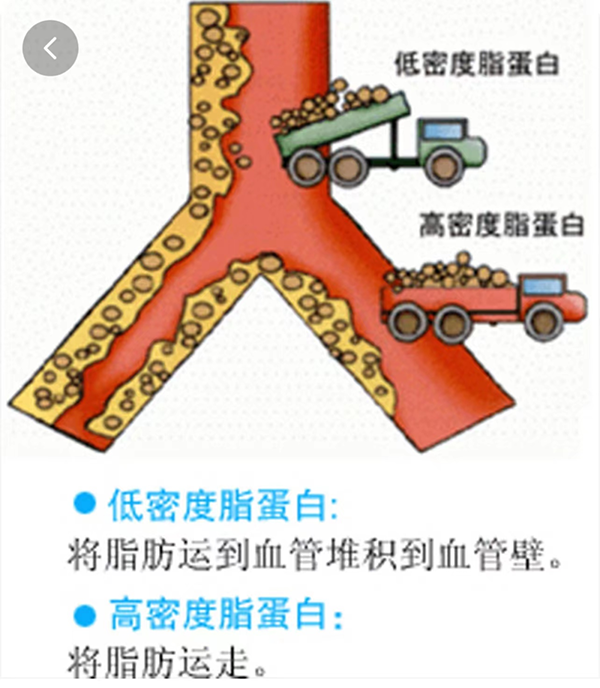 640 (2).png