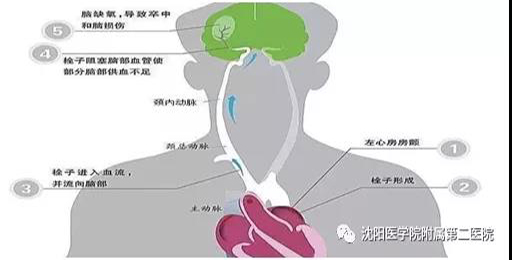 微信图片_20210608111019.jpg