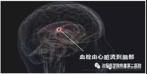 微信图片_20210608111022.jpg