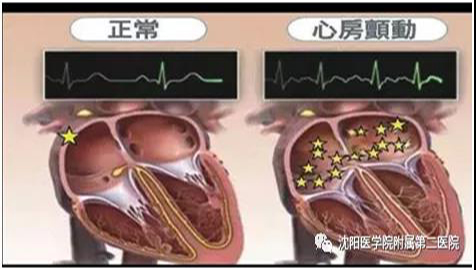 微信图片_20210608111025.jpg