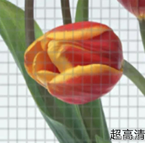 微信图片_20211118072725.jpg